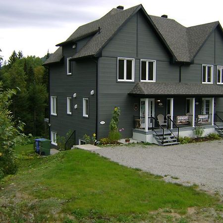 Vue Sur La Montagne Villa LʼAnse-Saint-Jean Exterior foto